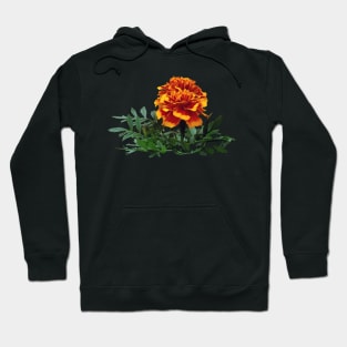 One Orange Marigold with Yellow Tips Hoodie